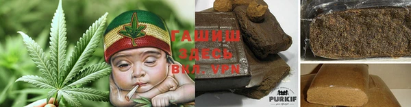 гашик Балахна